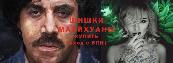 тгк Новозыбков