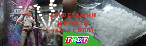 тгк Новозыбков