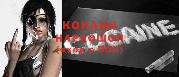 тгк Новозыбков