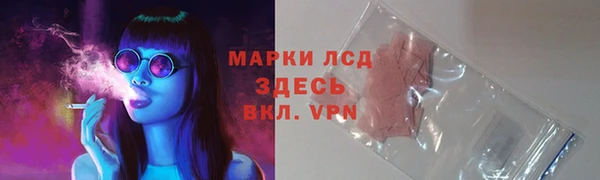 молекула духа Новодвинск