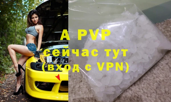 тгк Новозыбков