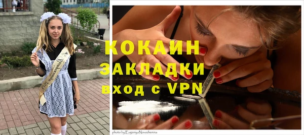 тгк Новозыбков