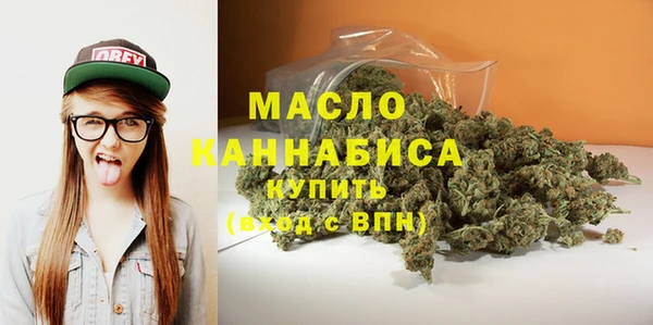 соль ск Няндома