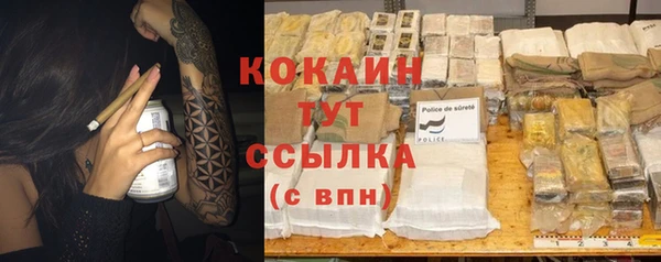 молекула духа Новодвинск