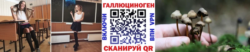 закладка  Поворино  Псилоцибиновые грибы прущие грибы 